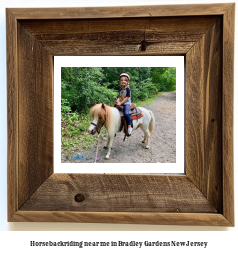 horseback riding near me in Bradley Gardens, New Jersey